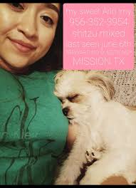 We need help to find our baby!! She was taken from my dads trailer front  portch. He lives near the airport in Brownsville. Her name is “Precious  “She is a little old