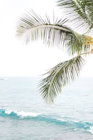 Big Island Of Hawaii View Of Kona Bay Beach Wallpaper Summer Wallpaper Beach Vibe