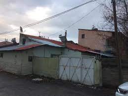 Ağrı satılık müstakil ev ilanlarını en uygun fiyata emlaksergisi.com'da bulabilirsiniz. Agri Ruya Emlak Satilik 3 1 Mustakil Bahceli Sobali Ev Facebook