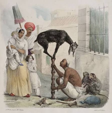 The Bunder Wallah and His Performing Goat (From colonial Bengal streets, c. 19th century) “Commonly called and known by that name both by the natives and Europeans long resident in the country.