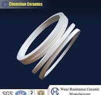 92% Aluminium Oxide Ceramic Pipe Ring Linings for Wear Protection