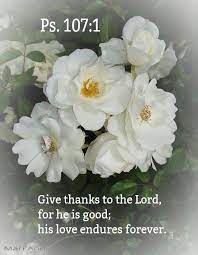 Maybe you would like to learn more about one of these? Pin On Bible Verses 18