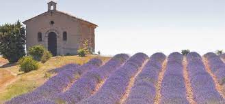 The department lies in the heart of the southern rhône valley. Ferienhaus Ferienwohnung In Vaucluse Mieten Unterkunfte
