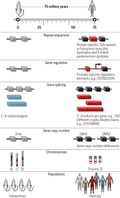 Mouse Models Of Neurodegeneration Know Your Question Know Your Mouse Science Translational Medicine