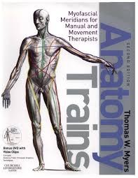 Anatomy atlas free is a content and software development anatomy and physiology learning application. Pdf Anatomy Trains Myofascial Meridians For Marius Broucke Academia Edu