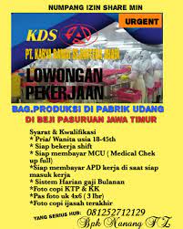 Pabrik udang pasuruan karena udang pun salah satunya yang diolah. Lowongan Kerja Pasuruan Jatim Facebook