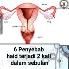 We did not find results for: Waspada Haid 2x Dalam Ummi Therapy Centre Utc Facebook