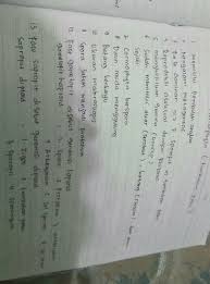 Selain itu, tubuh lumut juga tidak mempunyai pembuluh pengangkut. Perbedaan Pergiliran Keturunan Pada Tumbuhan Lumut Dan Tumbuhan Paku Adalah Tips Membedakan