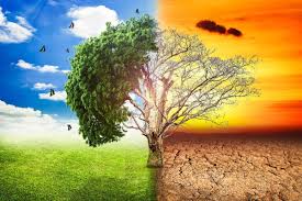 L'edizione 2019 del world environment day sarà ospitata dalla cina e avrà come tema la lotta contro. Agenda 2030 Giornata Mondiale Dell Ambiente Agora Del Sapere Gite Virtuali Tour E Laboratori Didattici Online