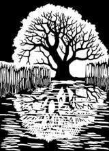 From nosferatu to the cabinet of dr. Talk Linocut Wikipedia