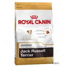 Animalerie Royal Canin Breed Jack Russell Junior Pour Chiot 3 X 15 Kg Croquette Pour Chien Nourriture Chien Croquettes