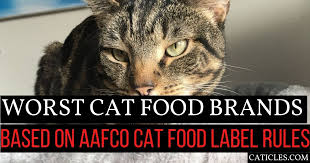 The best cat food can give your kitty a long, healthy, and happy life by your side. Worst Cat Food Brands Hint They Re All The Same