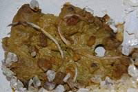 Fjärilar i magen is the seventh studio album by swedish singer/songwriter darin, released on 25 september 2015 by his own record label dex music and distributed by sony music. Innvollsorm Hos Hund Dyreklinikk No