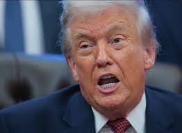 Fredeline Phiscien added a new photo.