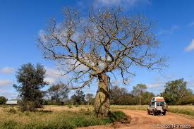 Villarrica del espíritu santo, ciudad viajeraes capital del departamento del guaira, fue originalmente fundada por el. Paraguay Sehenswurdigkeiten Mit Dem Eigenen Fahrzeug Swiss Nomads