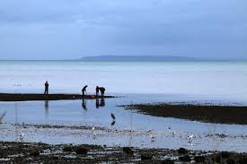Birch bay state park is an accommodation in washington. Discover Free At Birch Bay State Park Whatcomtalk