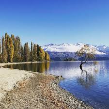 Nz Holiday Image By Elizabeth Bennett Lake Wanaka Wanaka Lake