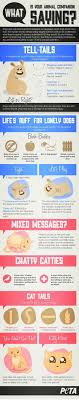 Example of a homemade diet calculation for. What Is Your Animal Companion Saying Animal Companions Pets Pet Hacks