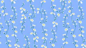 1920x1080 preview wallpaper laptop, cup, glasses, plant. Cute Blue Background Desktop Novocom Top