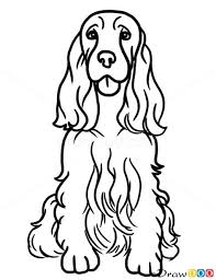 Black And White Springer Spaniel Clipart How To Draw Cocker Spaniel Dogs And Puppies Site Has Loads Of Tutorials On How To Draw Different Things Spaniel Art Dog Drawing Dog Paintings