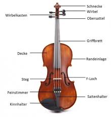 Image result for Viola