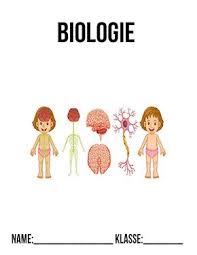Biologie Deckblatt Nervensystem Deckblatter Zum Ausdrucken Schulbeginn Schulanfang Ersterschultag Einschulung In 2020 Deckblatt Biologie Deckblatt Schule