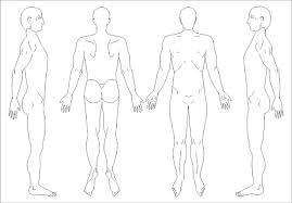 Body diagram 4a palm of hands. Blank Body Manikins From Paper Questionnaire Download Scientific Diagram