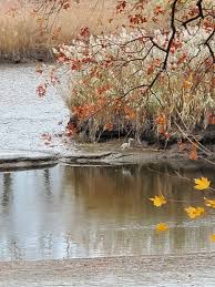 Image result for White 1990 Hackensack Water Company