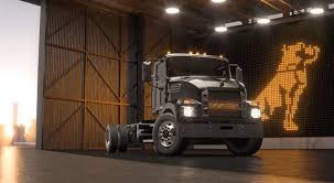 Image result for Medium Brown 2013 Fleet