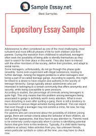 There are 6 different types of expository essays and each of them has a unique objective. Expository Essay Samples Just The Facts By Sample Essay Medium