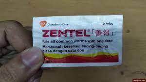 Strain campuran bawang putih dan lobak dan makan dua kali sehari sebelum makan untuk merawat cacing giardia dan parasit. Perlukah Orang Dewasa Makan Ubat Cacing Jangan Terkejut Ya