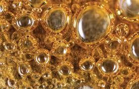 Greg Zeman, Author at Cannabis Now