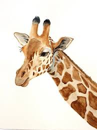 Giraffe Watercolor Clipart Giraffe Print Animals Of Africa Wall Art 24x32cm 9 4x12 6in Instant Download Printable Wall Decor Giraffe Art Giraffe Painting Animal Paintings