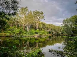 Hotels, apartments, villas, hostels, resorts, b&bs Lane Cove Holiday Park For Staycations Families Visiting Sydney
