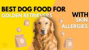 If you know what your dog is allergic to, you can simply switch them to a food that does not contain. Too Cute Dogs Page 3 Of 7 One Stop For Your Dog