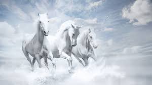 White horse 4k 8k is part of the animals & birds wallpapers collection. 1366x768 White Horses Hd 1366x768 Resolution Hd 4k Wallpapers Images Backgrounds Photos And Pictures