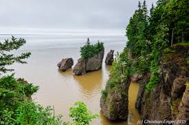 Hopewell Rocks Best Time To Visit Top Tips Before You Go