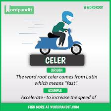 Root Word Celer Https Wordpandit Com English Word Roots Root Words English Vocabulary Words English Words