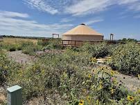 Native Plant Gardening Through the Seasons
