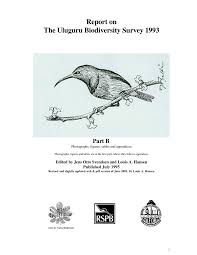 Image result for Erythrococca ulugurensis