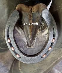 We are excited to...