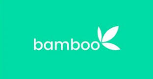 Bamboo is also available for corporate and institutional clients (brokers/dealers, fund. Bamboo Reacts To Sec S Move Against Investment Platforms