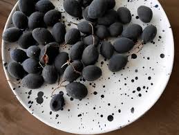 Image result for Dialium guineense