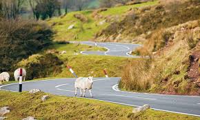 No need to register, buy now! A Tale Of Two Wales Exploring The Welsh Countryside And City Life Palm Beach Illustrated