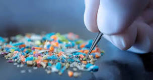 Avoid Microplastics by Ditching These 7 Everyday Products ...
