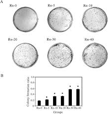 The wave radon detector, a more costly solution at $249, syncs up with a user's smartphone. Radon Induced Mitochondrial Dysfunction In Human Bronchial Epithelial Cells And Epithelial Mesenchymal Transition With Long Term Exposure Toxicology Research Rsc Publishing