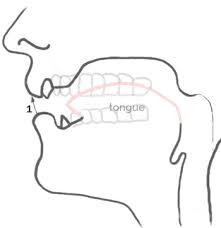 Some other words which have this sound are: Letters B V In Spanish 2 Ways Of Pronunciation Mouth Positioning