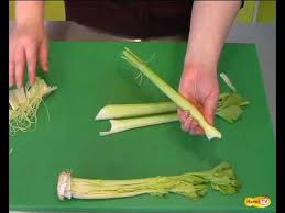 Après avoir récolté les branches que. Comment Preparer Le Celeri Youtube