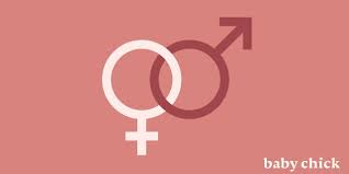 Try This Chinese Gender Calendar Predictor Baby Chick