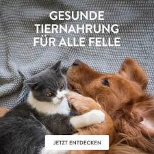 premium katzen barf frische menus monoprotein ohne getreide pets deli katzenfutter katzen futter hunde